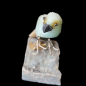 Oiseau Chrysocolle sur socle Pyrite de fer