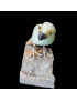 Oiseau Chrysocolle sur socle Pyrite de fer