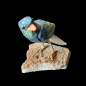 Oiseau Chrysocolle sur socle Quartz