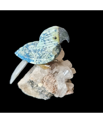 Oiseau Chrysocolle sur socle Quartz