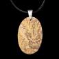 Pendentif Jaspe paysage brut sur cordon