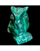 Chouette Malachite