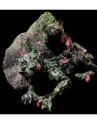 Pierre sculptée Rubis zoïsite Panthères