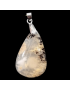 Pendentif Agate dendrite avec bélière