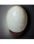 Œuf Jade Coréen