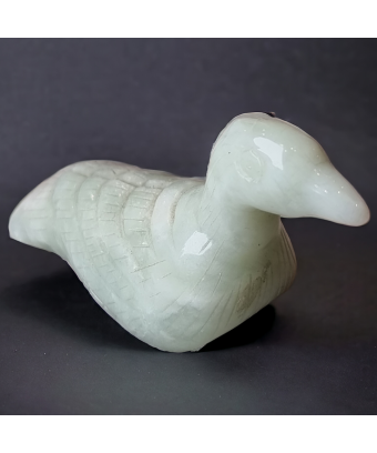 Canard Jade de Chine