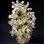 Arbre du Bonheur Jade Arbre du Bonheur Jade