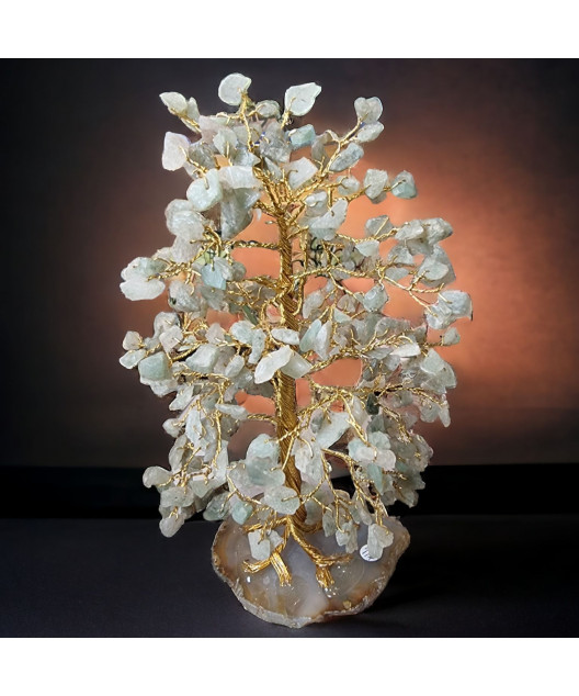 Arbre du Bonheur Jade