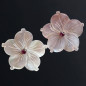 Boucles Nacre & Rubis Argent 925