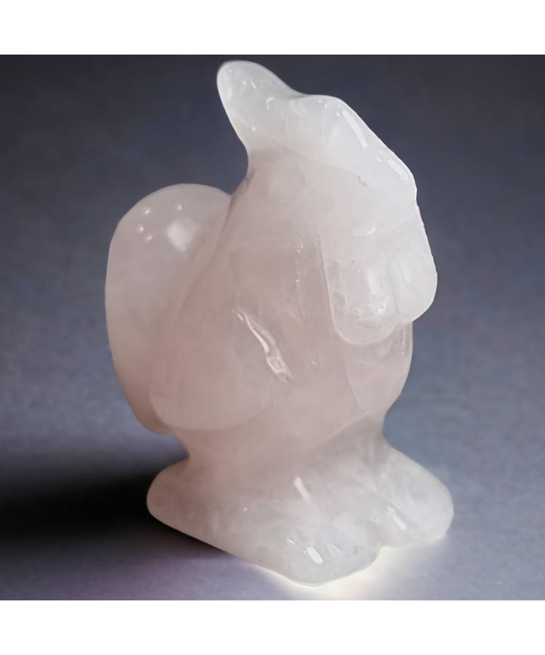 Coq Quartz rose pm