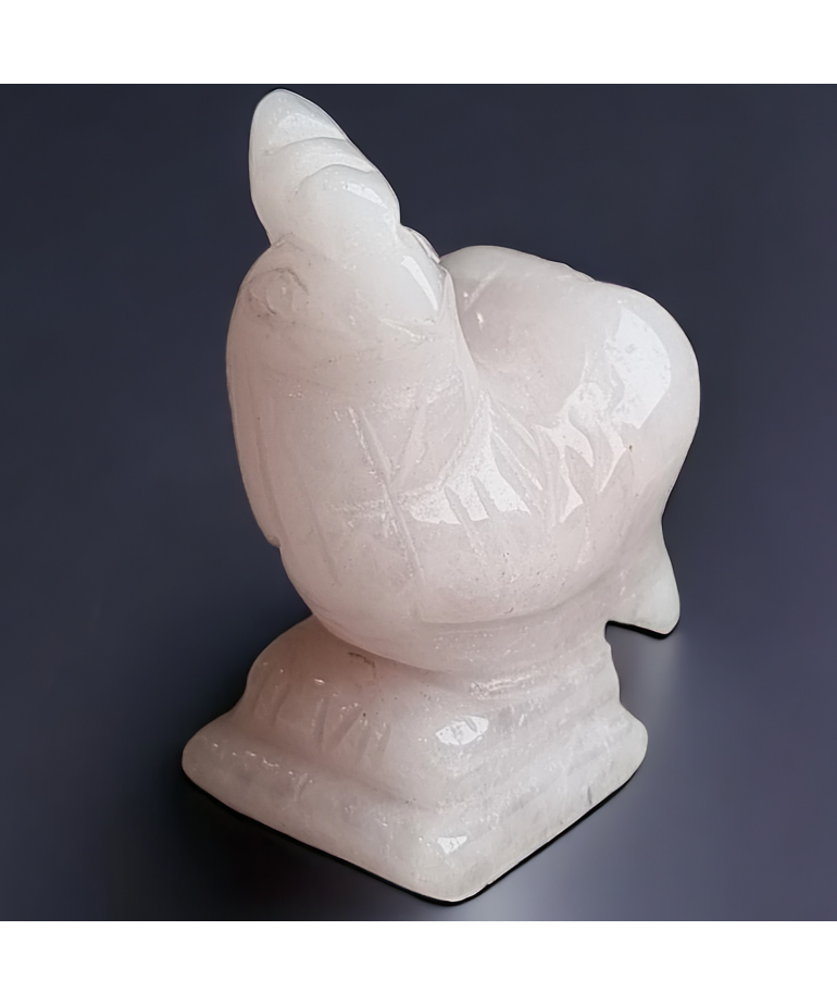 Coq Quartz rose GM