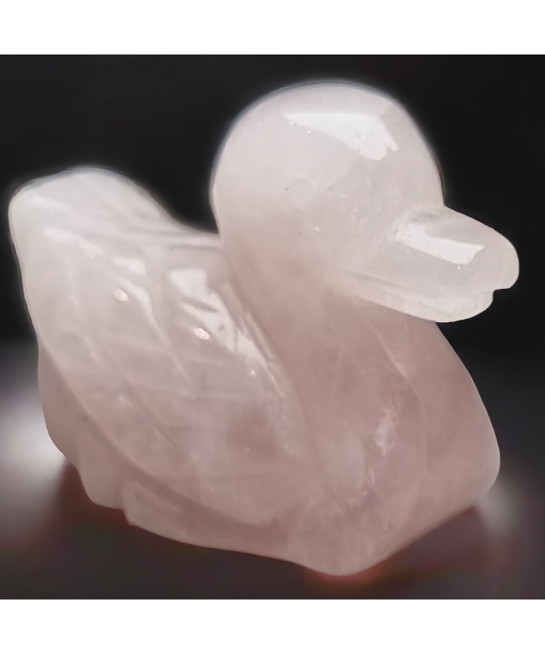 Canard Quartz rose