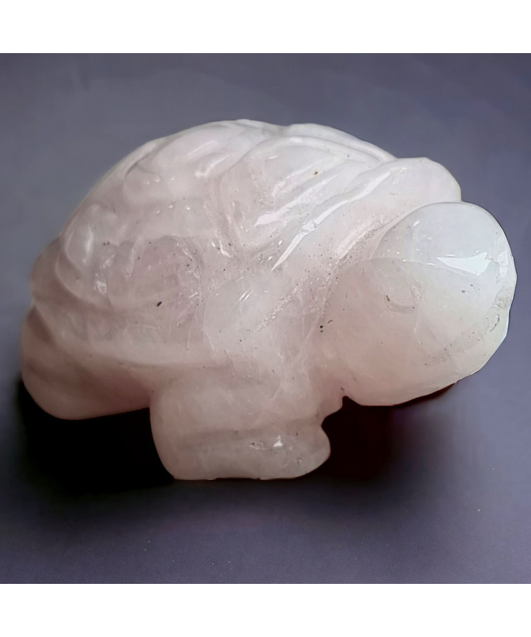 Tortue Quartz rose