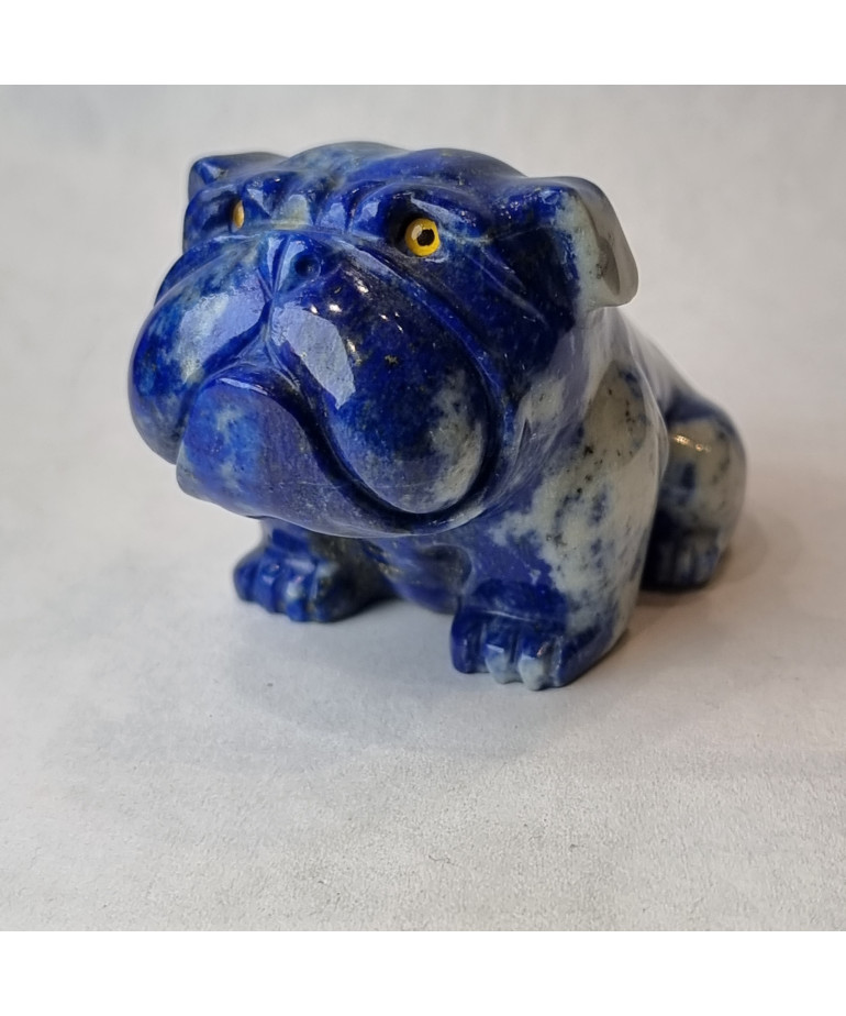 Chien Bulldog Lapis-lazuli