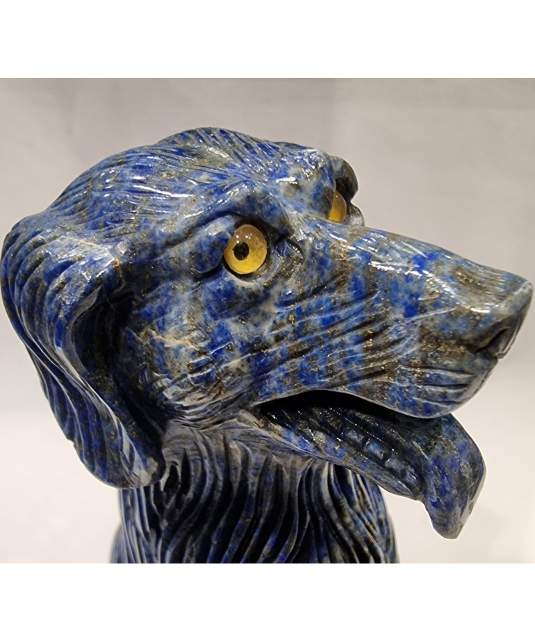 Chien Lapis-lazuli