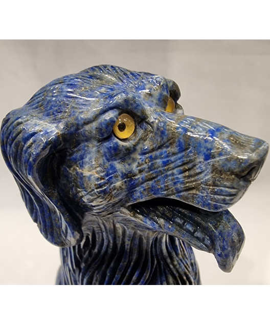 Chien Lapis-lazuli