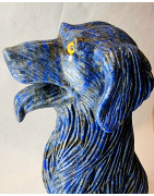 Chien Lapis-lazuli