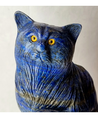 Chat Lapis-lazuli