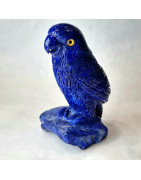 Oiseau Lapis-lazuli