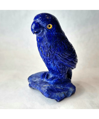 Oiseau Lapis-lazuli