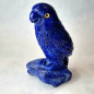 Oiseau Lapis-lazuli