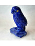 Oiseau Lapis-lazuli