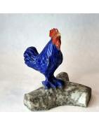 Coq Lapis-lazuli pm