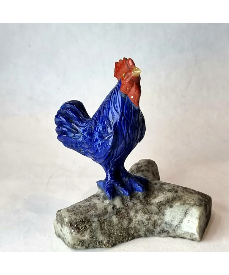 Coq Lapis-lazuli pm