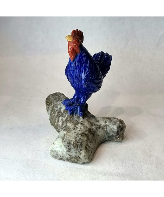 Coq Lapis-lazuli pm
