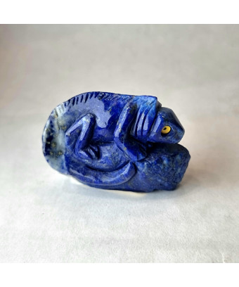 Salamandre Lapis-lazuli