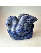 Cygne Lapis-lazuli
