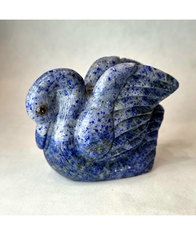 Cygne Lapis-lazuli