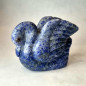 Cygne Lapis-lazuli