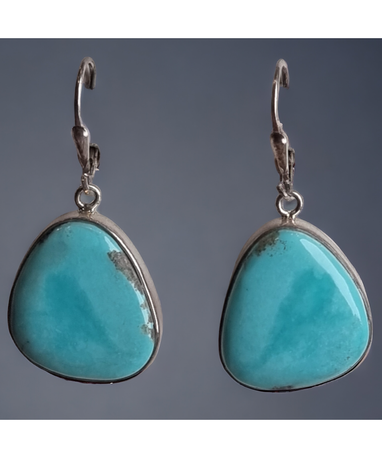 Boucles Turquoise serties Argent 925