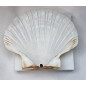 Coquille Saint Jacques