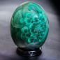 Œuf Malachite