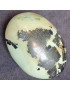 Galet Chrysoprase citron ( pierre roulée)