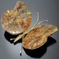 Papillon Ammonite corps laiton Taille XXL