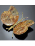 Papillon Ammonite corps laiton Taille XXL