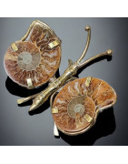 Papillon Ammonite corps laiton Taille S