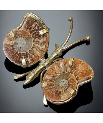 Papillon Ammonite corps laiton Taille S