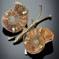 Papillon Ammonite corps laiton Taille S
