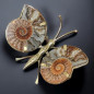Papillon Ammonite corps laiton Taille M