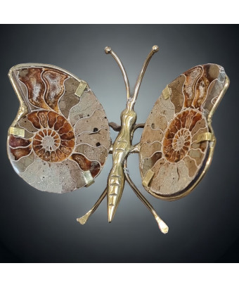 Papillon Ammonite corps laiton Taille M