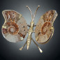 Papillon Ammonite corps laiton Taille M