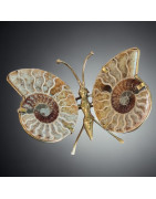 Papillon Ammonite corps laiton Taille L