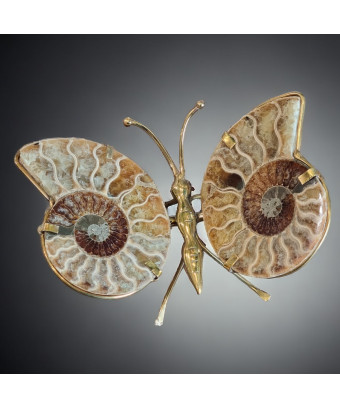 Papillon Ammonite corps laiton Taille L