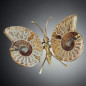 Papillon Ammonite corps laiton Taille L