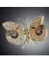 Papillon Ammonite corps laiton Taille L