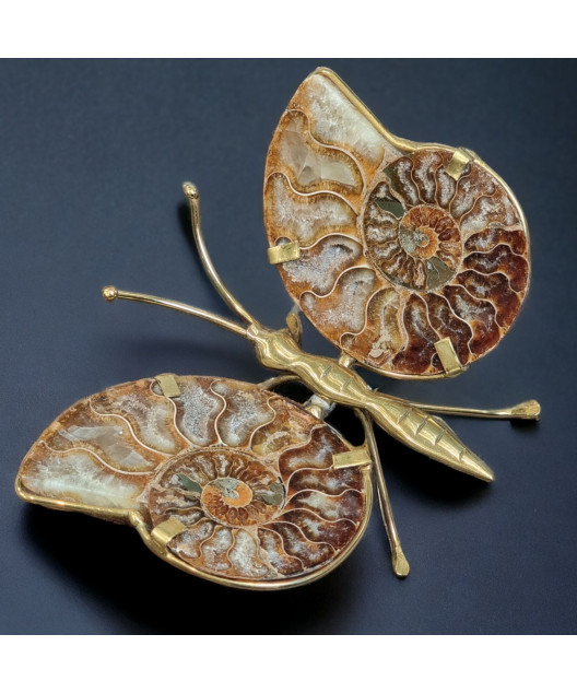 Papillon Ammonite corps laiton Taille XL